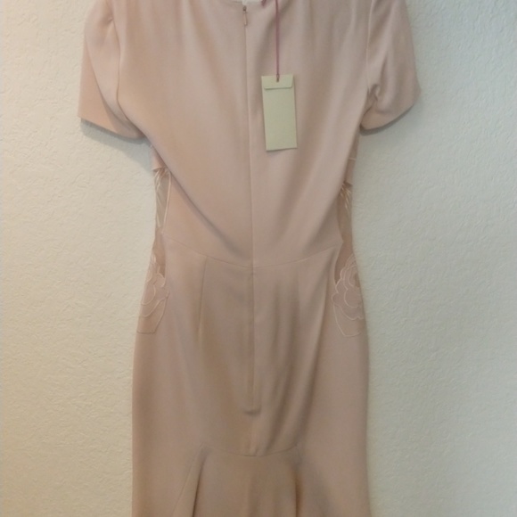 NWT! $3000 Stella McCartney Blush Dress w/Floral Appliqué & Sheer Inserts Sz36IT - Picture 4 of 7